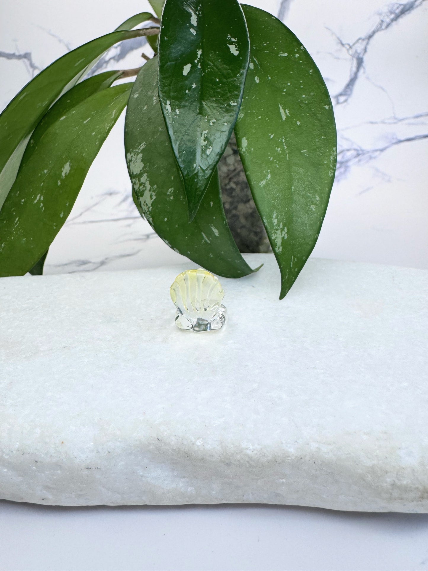 Clear Shell (silver component)