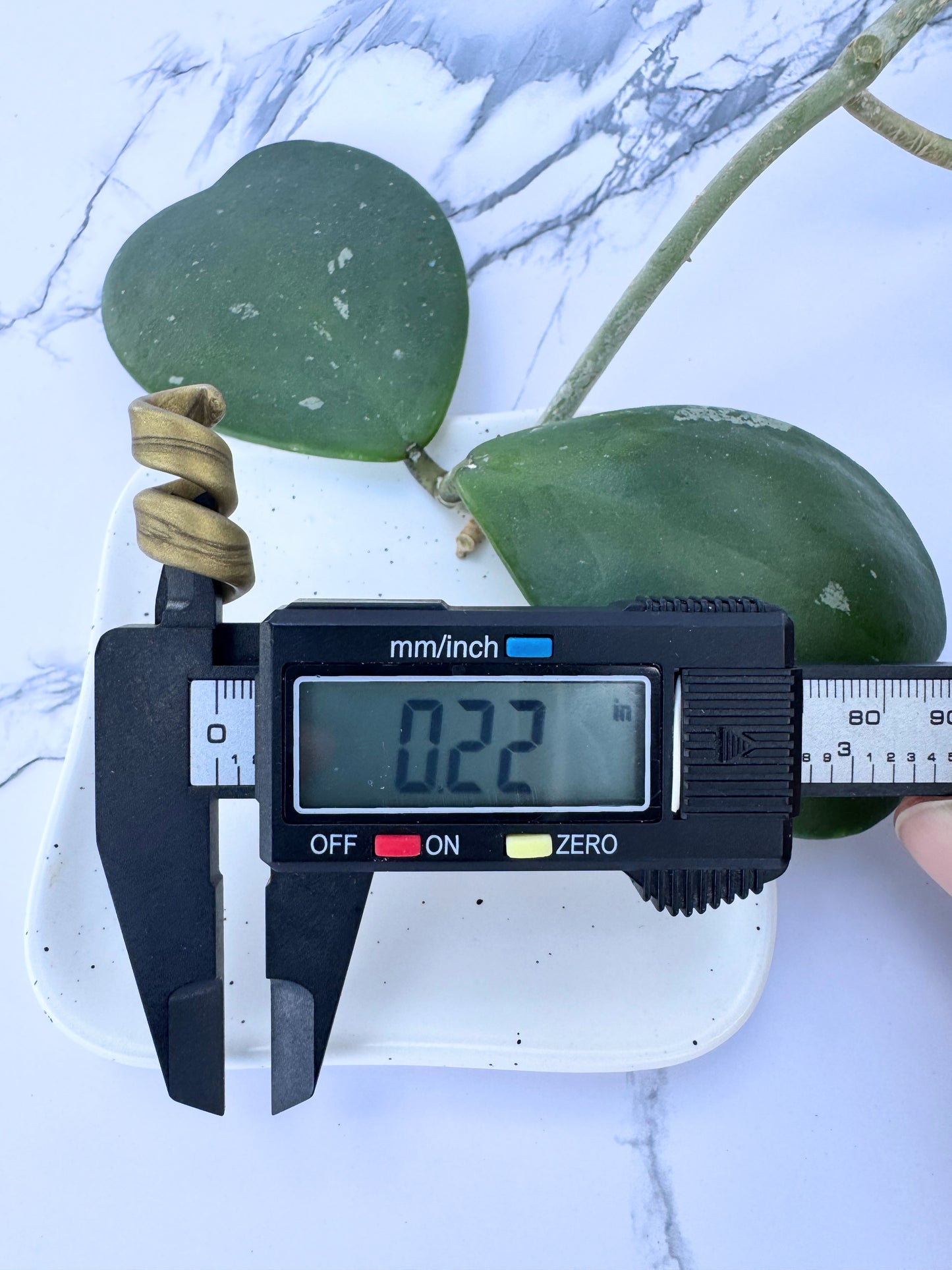 Antique Gold Clay Open Spiral