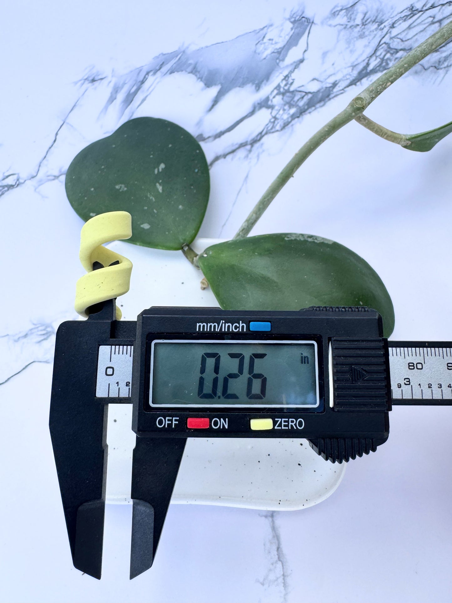 Light Lemon Yellow Clay Open Spiral