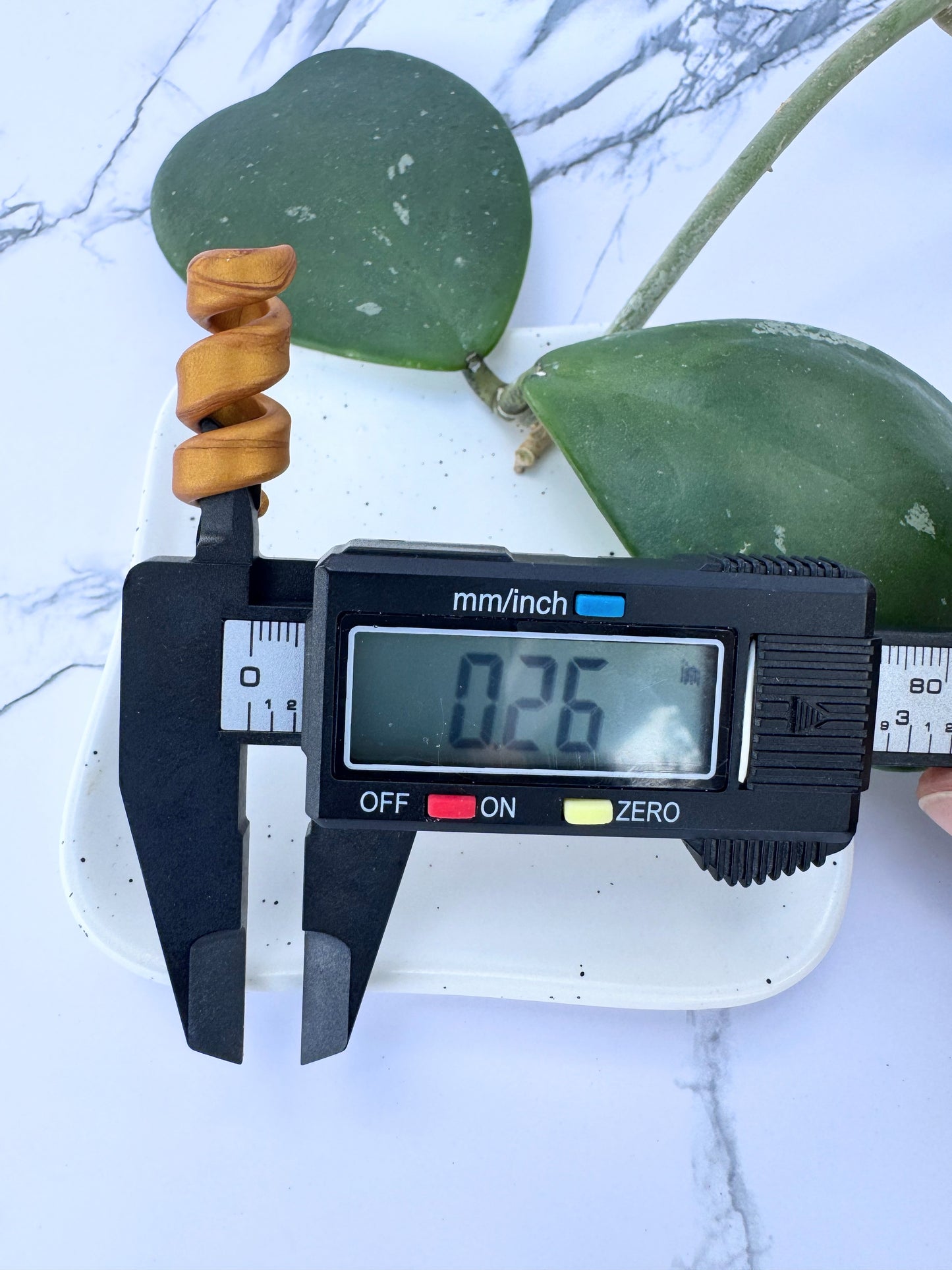 Harvest Gold Clay Open Spiral