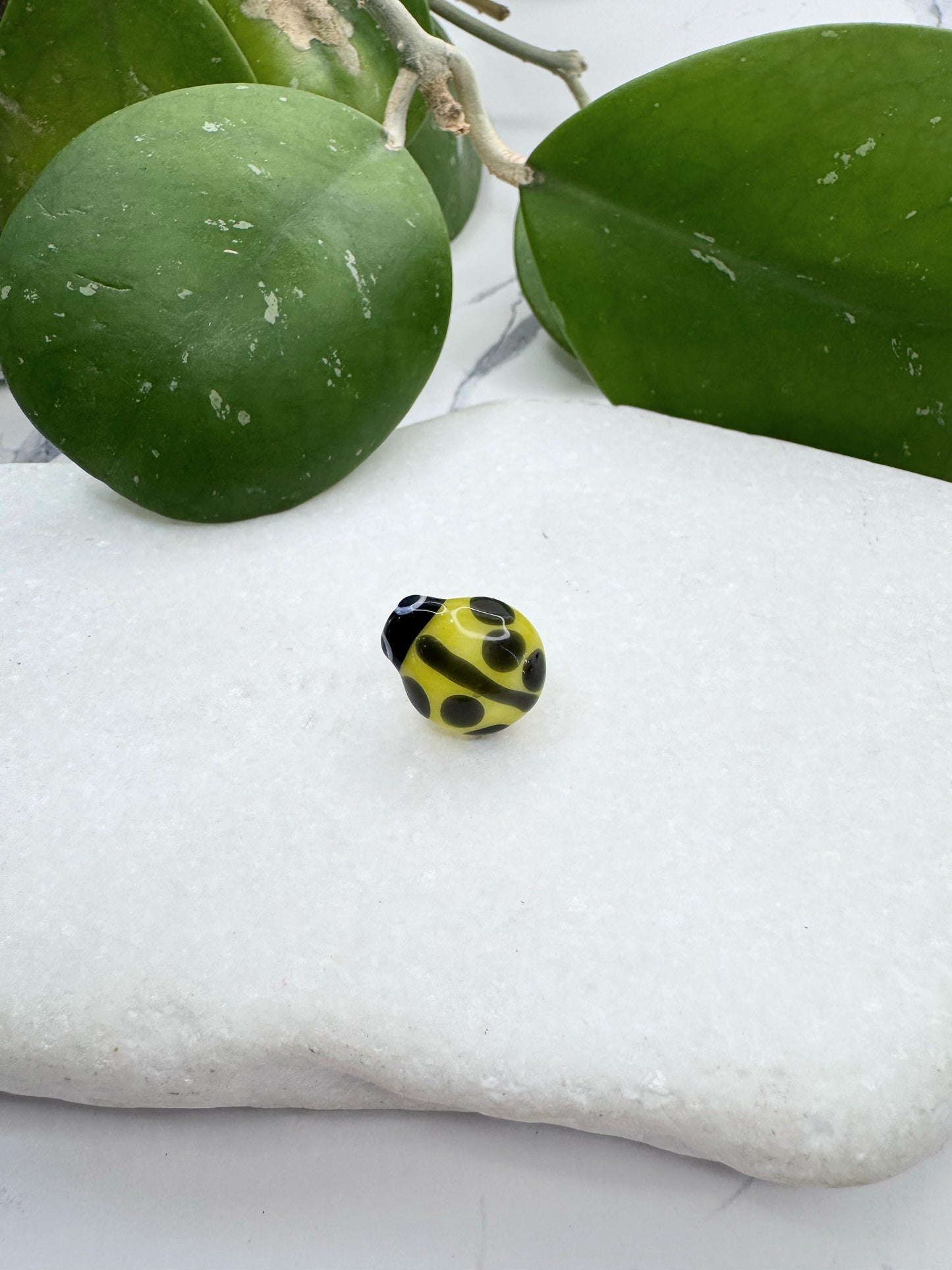 New Yellow Ladybug