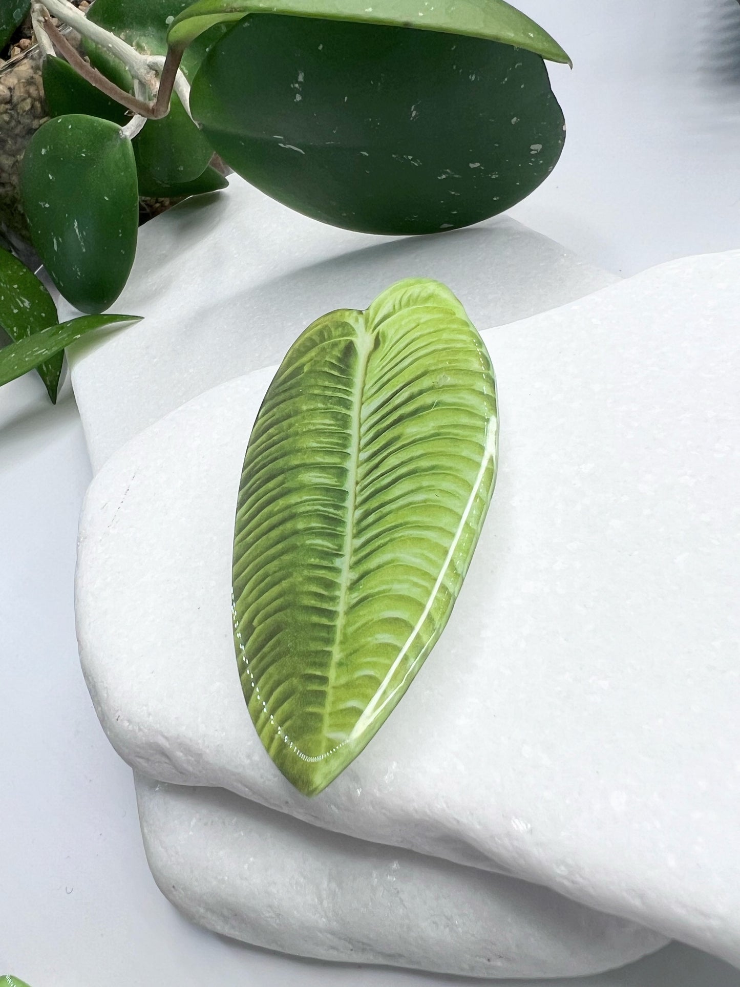 King Anthurium Pop Socket