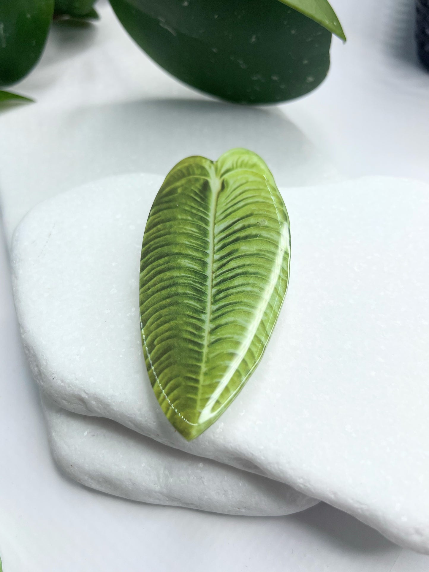 King Anthurium Pop Socket