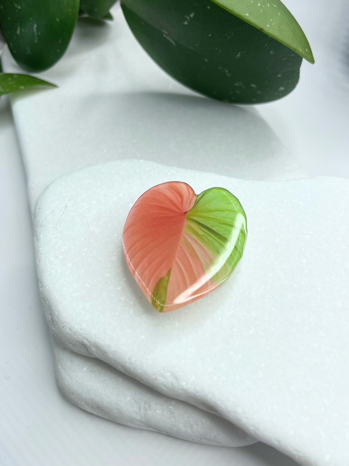 Rare Plant Pop Socket