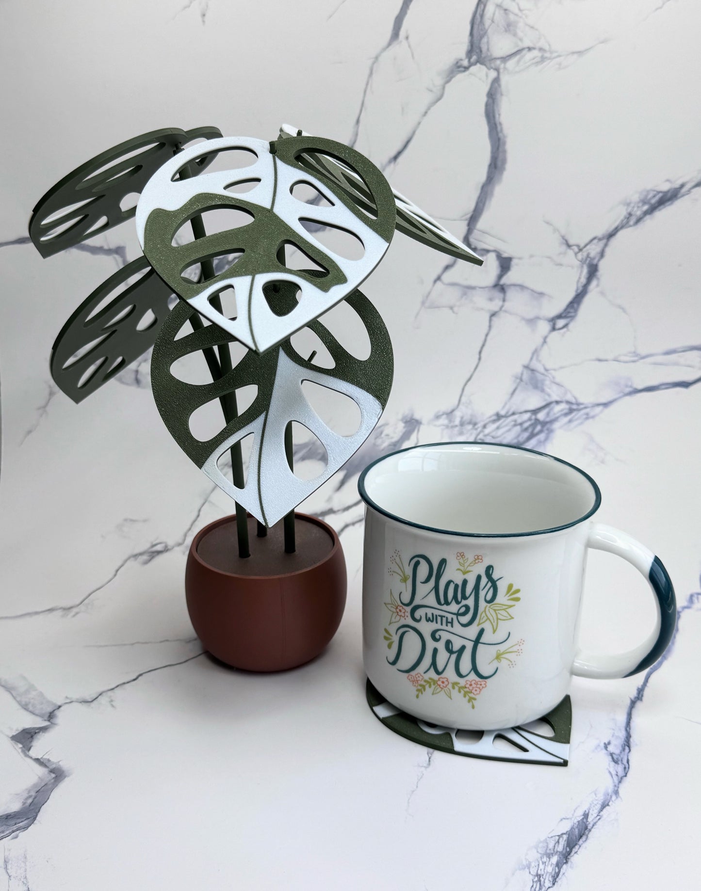 Monstera Adansonii Variegata Coaster