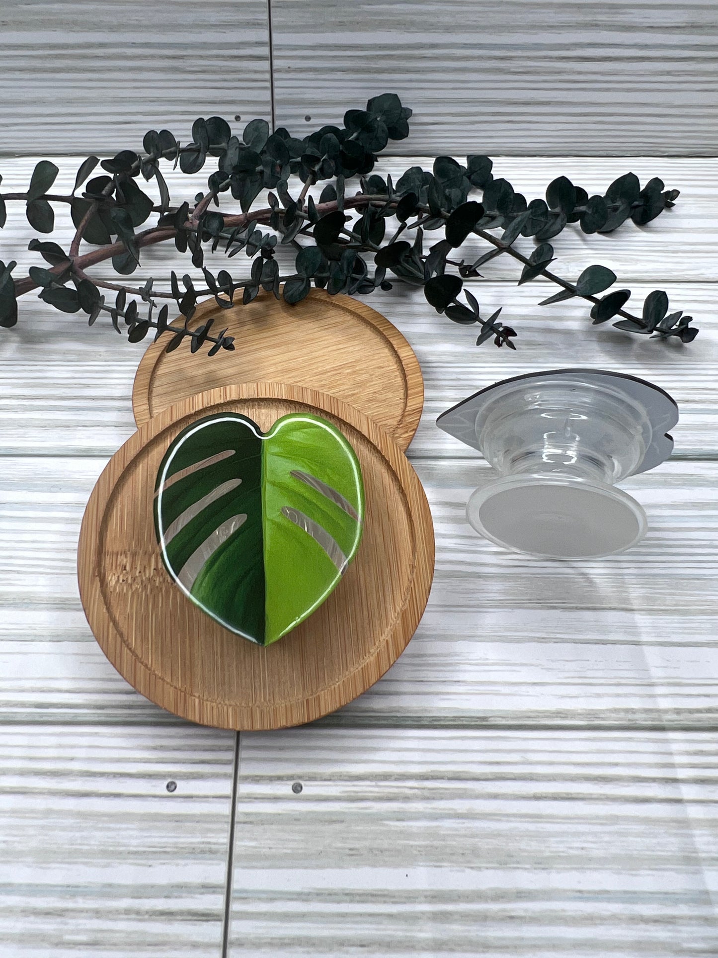 Monstera Pop Socket