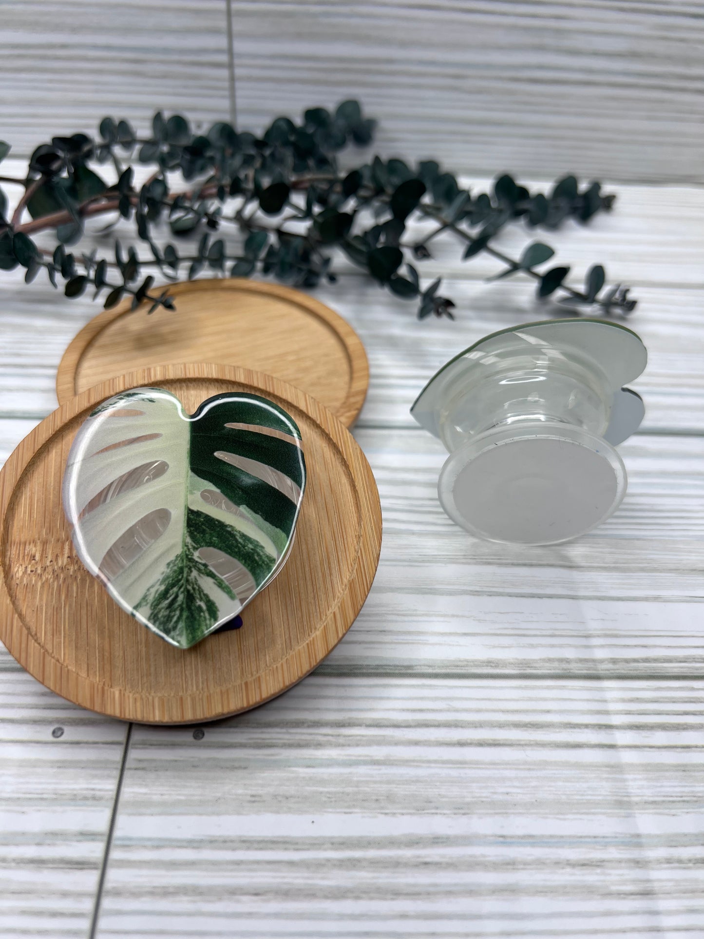 Monstera Albo Pop Socket