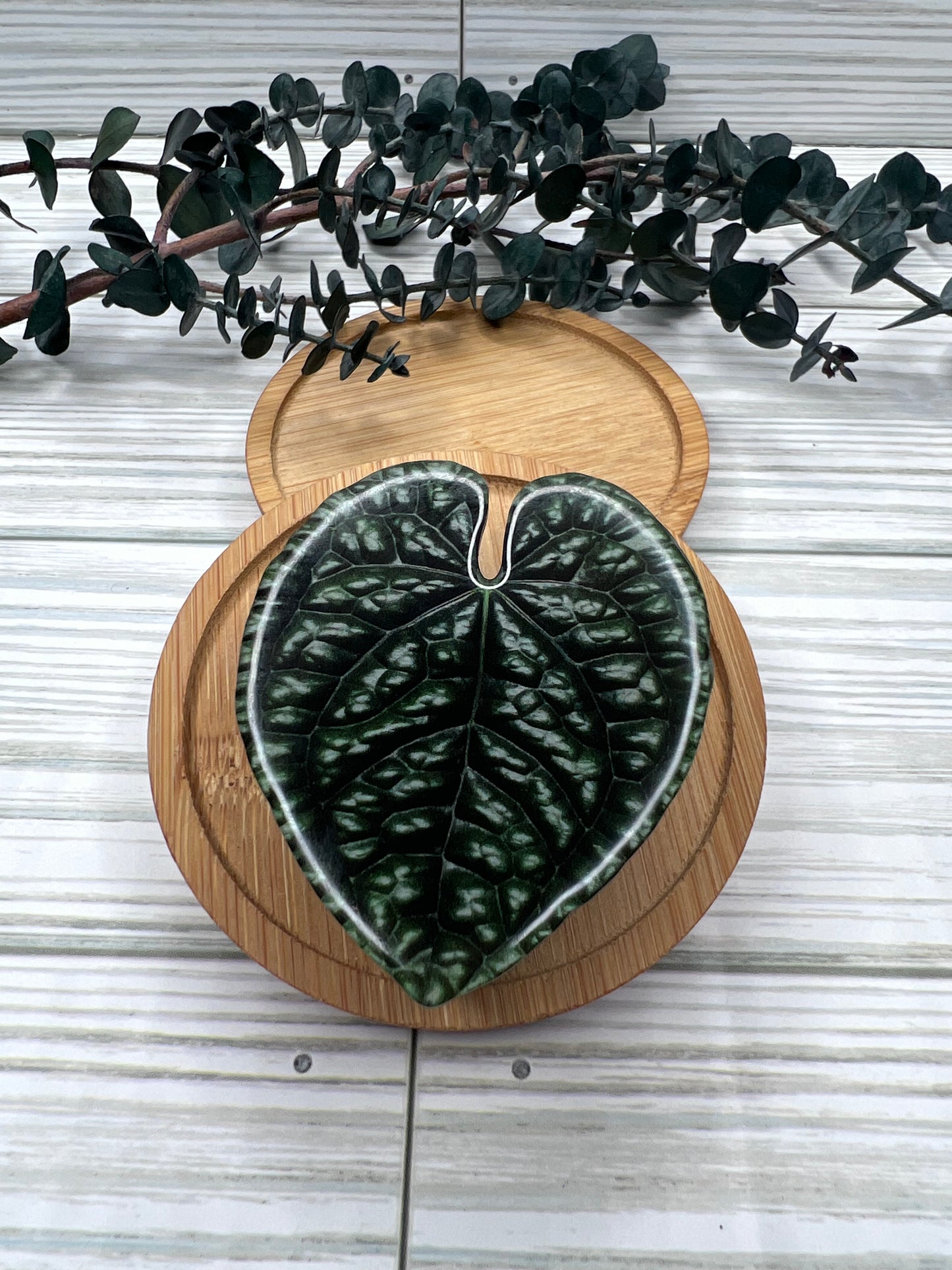 Philodendron Luxurians Pop Socket
