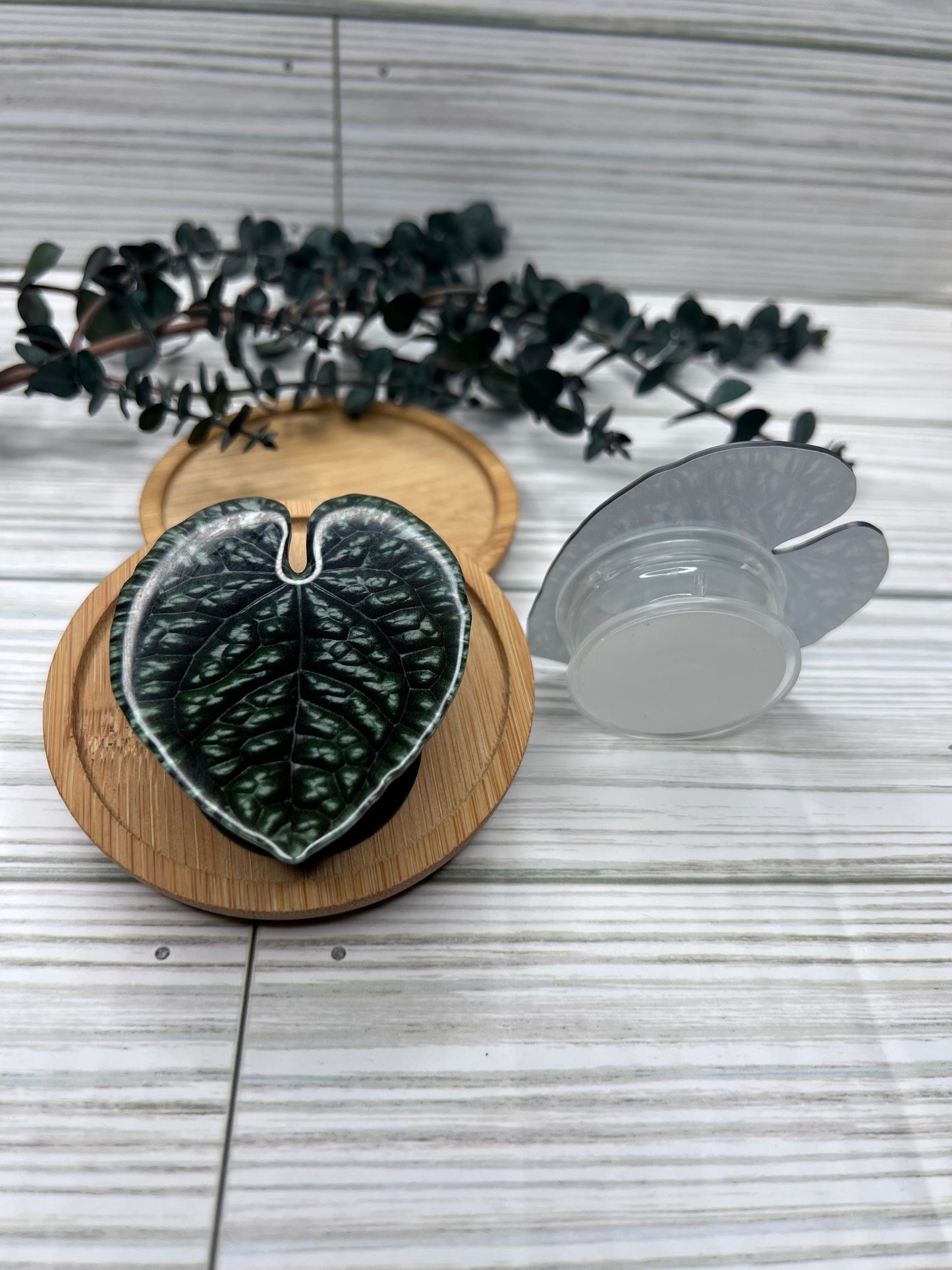 Philodendron Luxurians Pop Socket