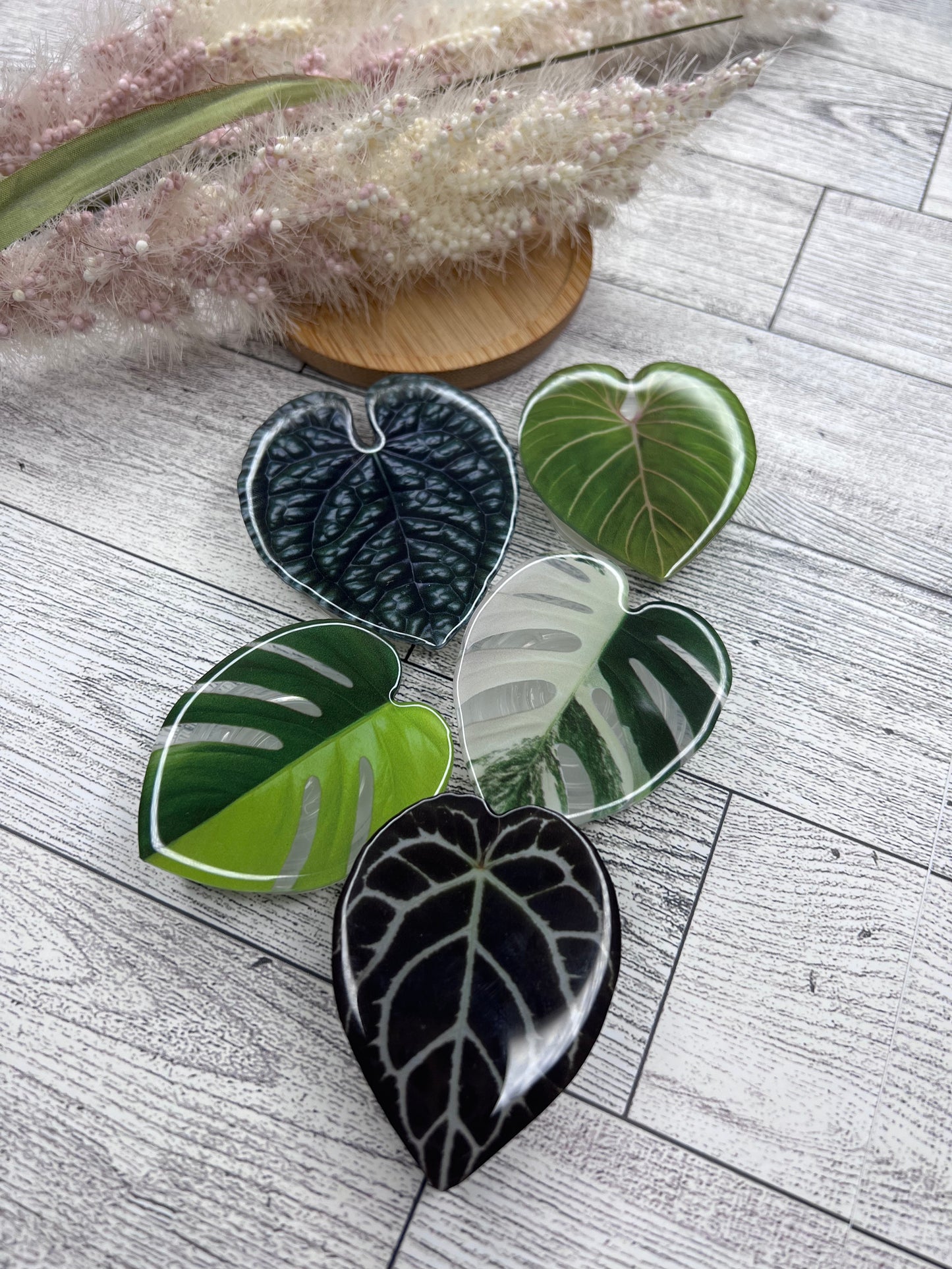 Anthurium Pop Socket