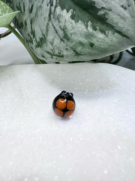 Black and Orange Ladybug