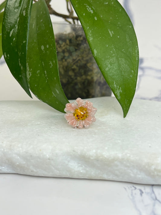 Sunflower Light Peach