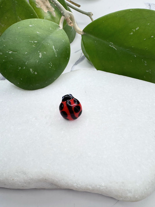 New Lady bug Red