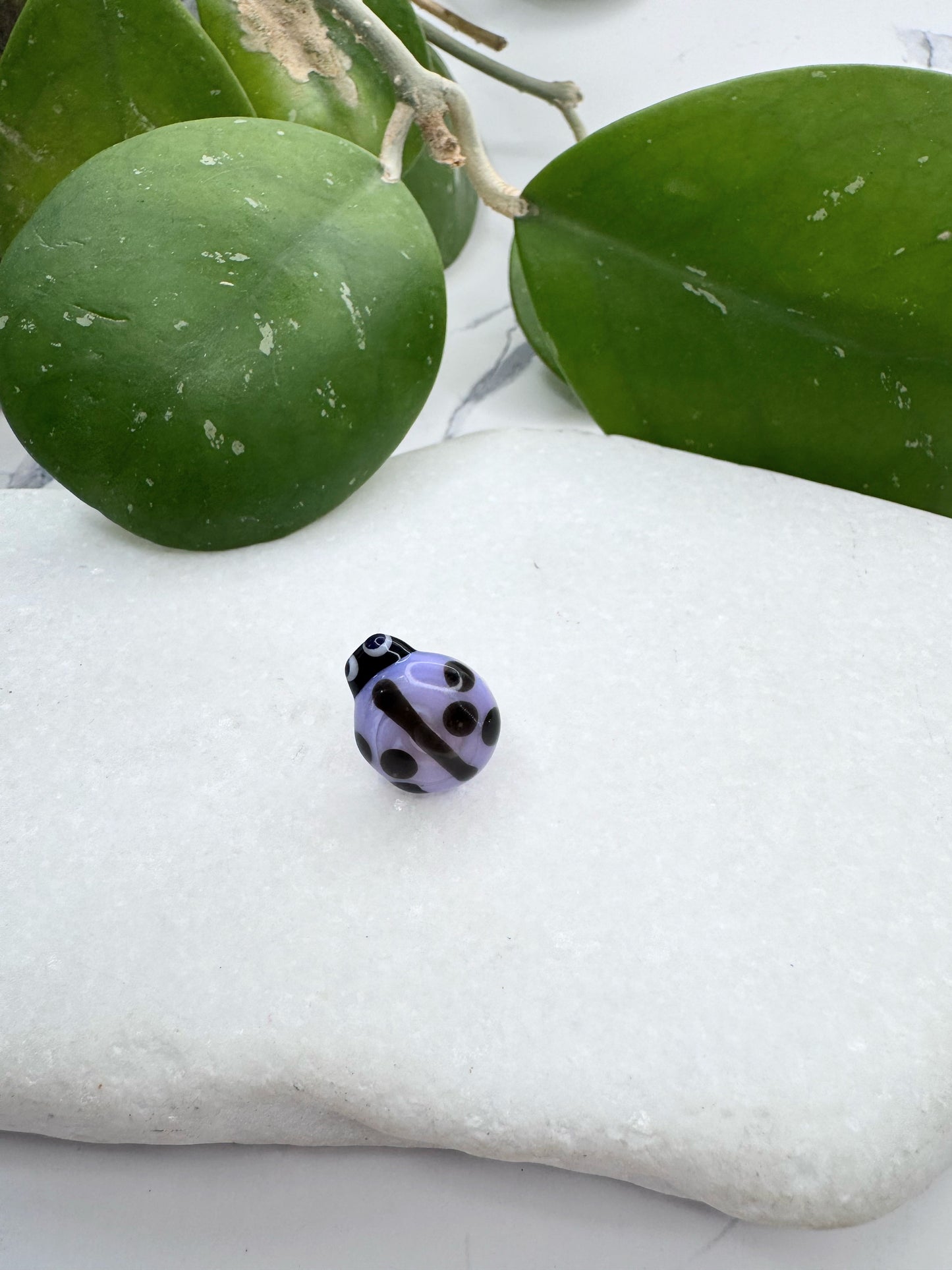 New Ladybug Purple