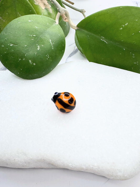 New Ladybug Orange