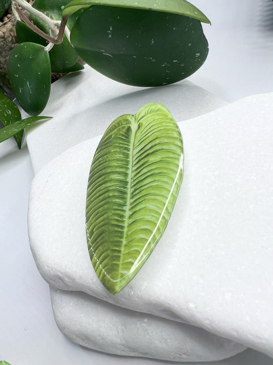 King Anthurium Pop Socket