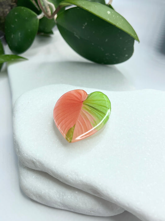 Rare Plant Pop Socket
