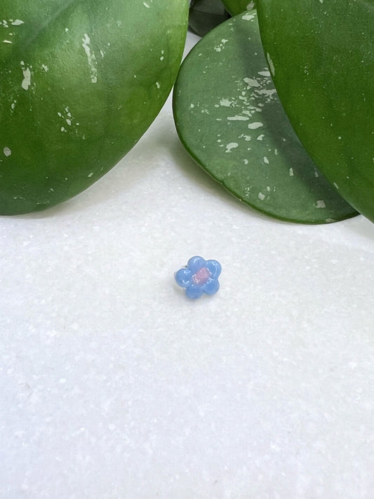 Baby blue Flower (micro/sisterloc bead)