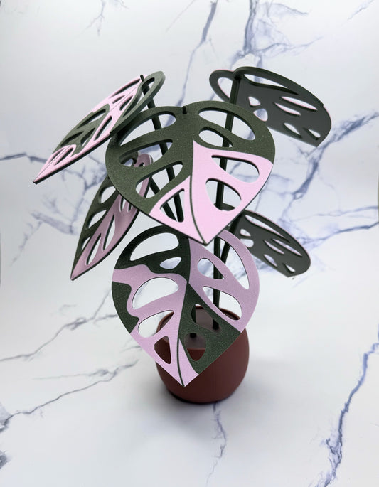 Monstera Adansonii Variegata Coaster (Pink)