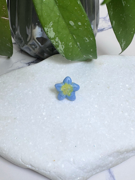 Blue Plumeria Flower