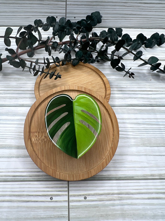 Monstera Pop Socket