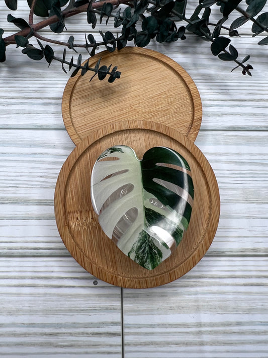 Monstera Albo Pop Socket