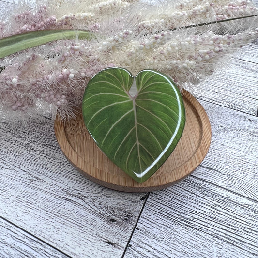 Gloriosum Pop Socket