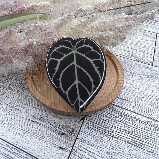 Anthurium Pop Socket