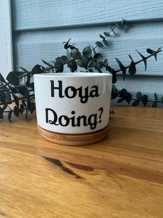Hoya Doing? Ceramic Planter